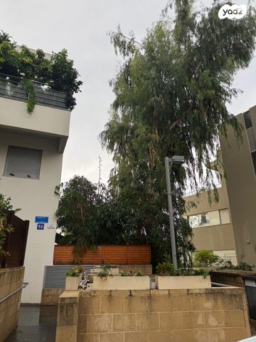 גג/ פנטהאוז, יגאל מוסינזון, תל ברוך, תל אביב יפו