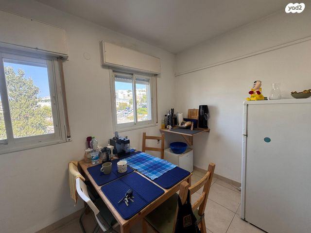 דוד בר רב האי 