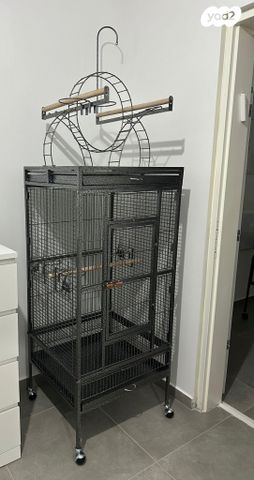 תמונת מודעה - חיות מחמד