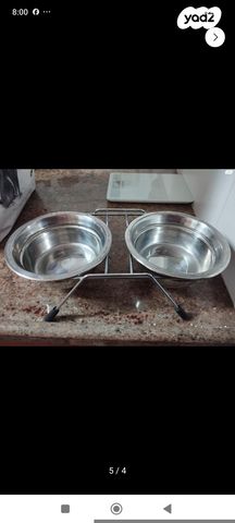 תמונת מודעה - חיות מחמד