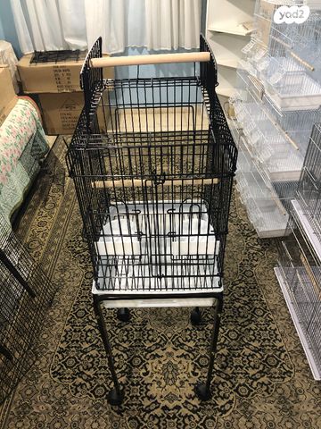 תוכי קוקוטייל