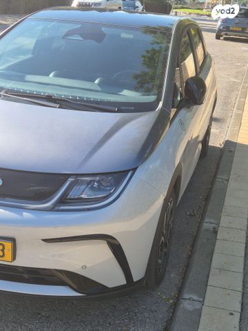 בי.ווי.די דולפין