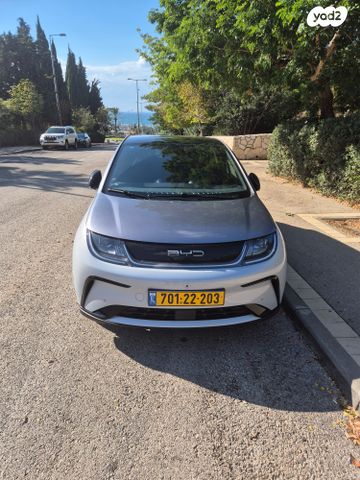 בי.ווי.די דולפין