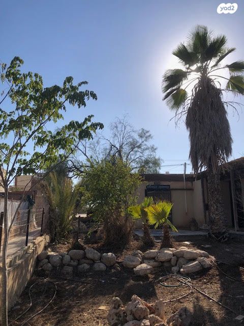 דו משפחתי, שלווה 10, נעורים, ערד