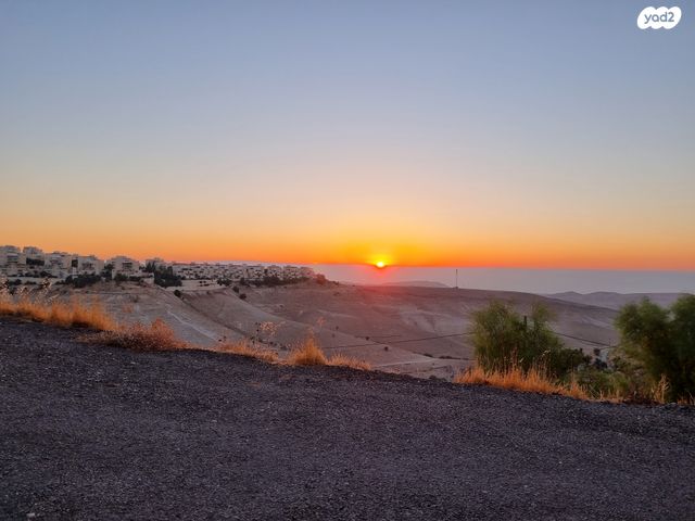 דירת גן, העירית 46, צמח השדה, מעלה אדומים
