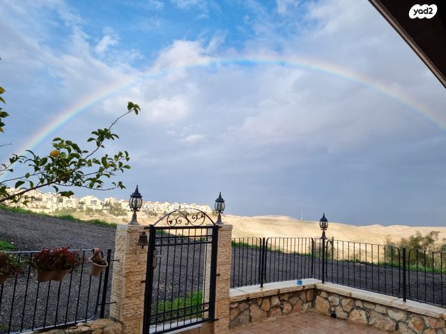 דירת גן, העירית 46, צמח השדה, מעלה אדומים