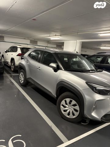 החשמונאים 100