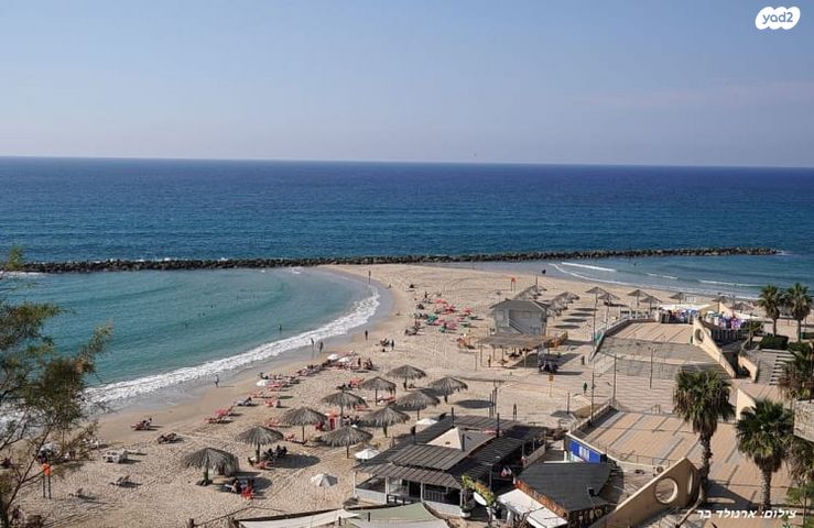 בית פרטי/ קוטג', מתתיהו דנקנר 6, מרכז העיר דרום, נתניה