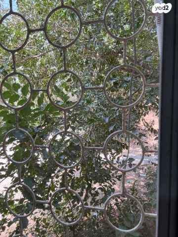 דירת גן, הורד 1, הורד, מגדל העמק