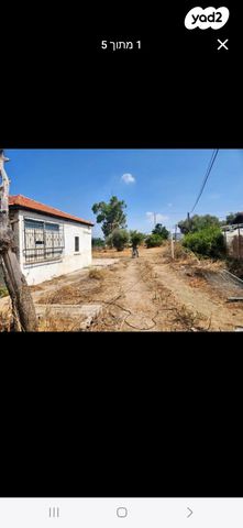 יהושע בן נון 28