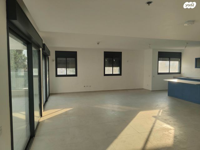 גג/ פנטהאוז, הרצל 50, מרכז, כפר סבא