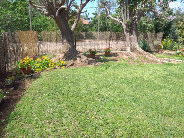 סאבלט, השזיף 1, יסוד המעלה, יסוד המעלה