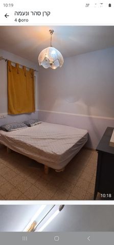 דוד וולפסון 36