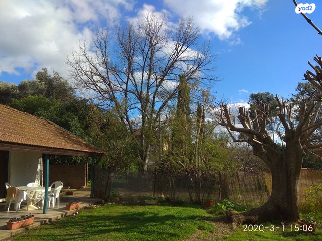 סאבלט, השזיף 1, יסוד המעלה, יסוד המעלה