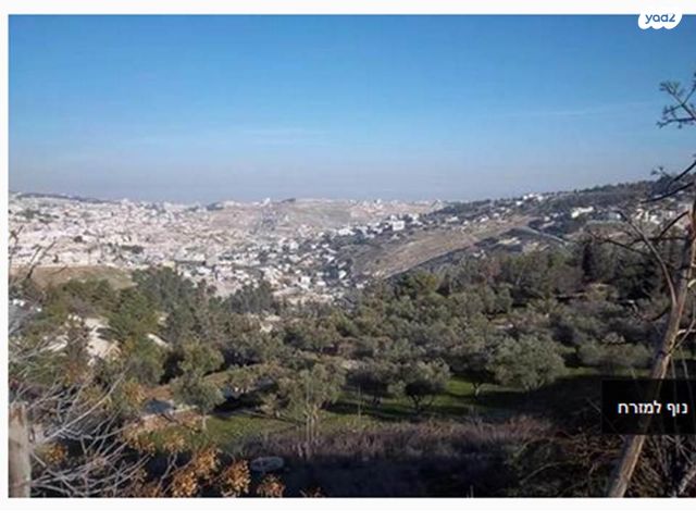 בית פרטי/ קוטג', מרדכי כספי 9, צפון תלפיות, ירושלים