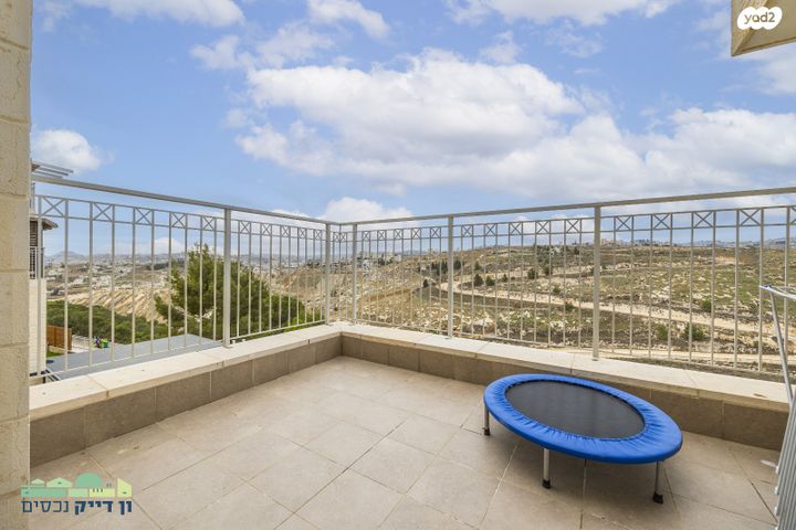 עמנואל זיסמן 