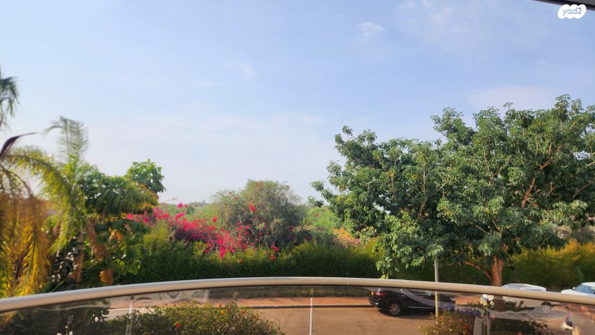 דירה, השקמה 29, צורן, קדימה צורן