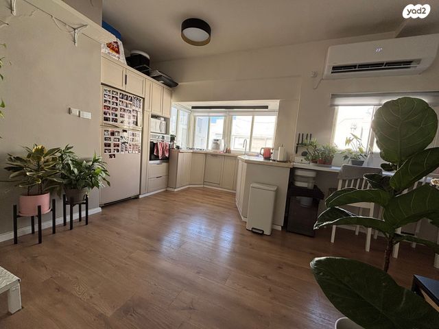 גג/ פנטהאוז, תל אביב יפו