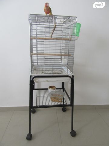 תמונת מודעה - חיות מחמד