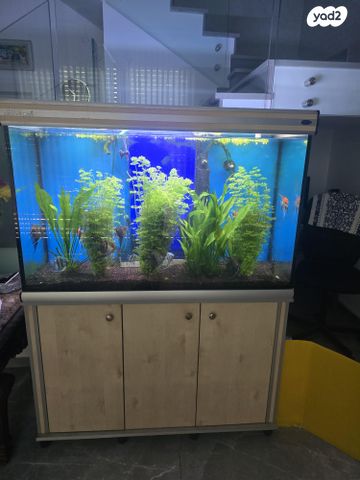 תמונת מודעה - חיות מחמד