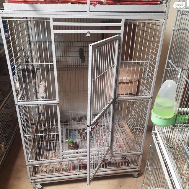 תמונת מודעה - חיות מחמד