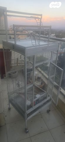 תמונת מודעה - חיות מחמד