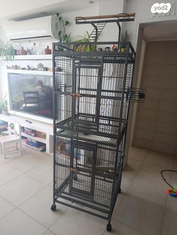 תמונת מודעה - חיות מחמד