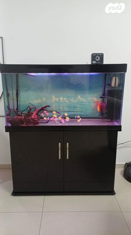 תמונת מודעה - חיות מחמד