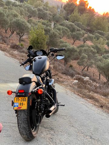 הרלי דיווידסון איירון 883