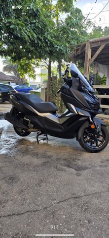 סאן יאנג קרוזים 300 אלפא