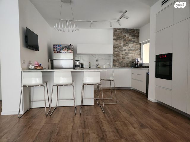 דוד אבידן 15