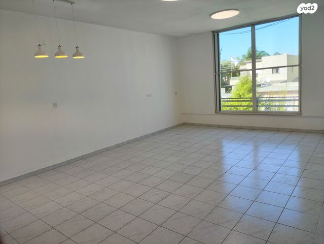 שיינבויים 1