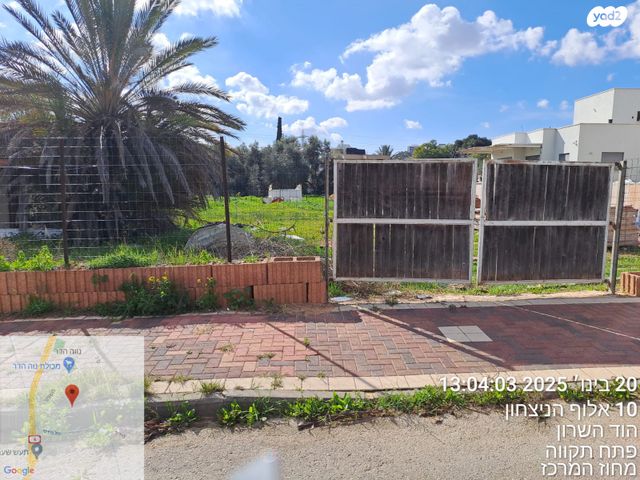 אלוף הניצחון 12