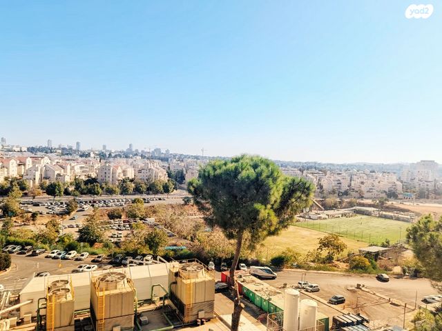 זאב חקלאי 15