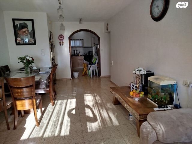 אריה אלטמן 6