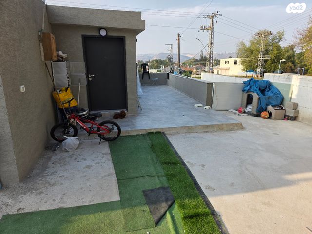 יהודה הלוי 4