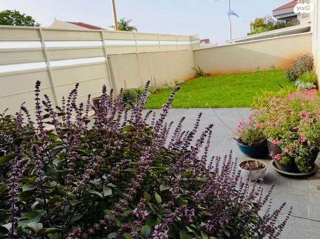 דו משפחתי, נורית 9, שאר העיר, מזכרת בתיה