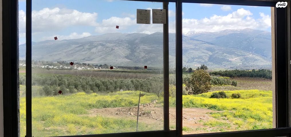 דירה, אל על 1, יובלים, קרית שמונה