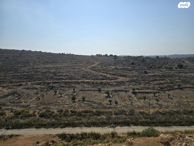 דירה, לשם 13, שאר העיר, אריאל