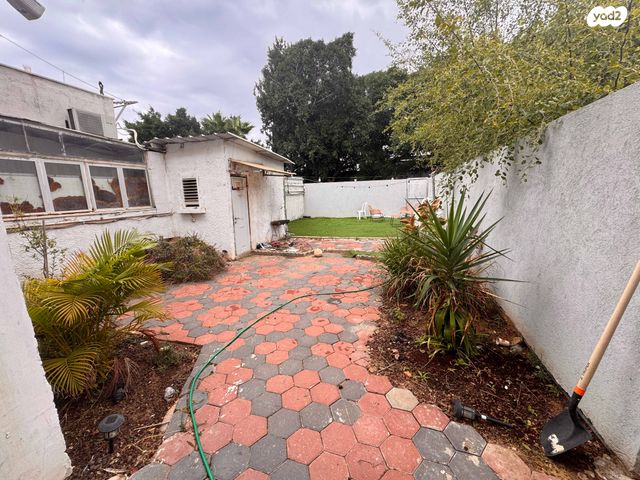 דוד רזיאל 14