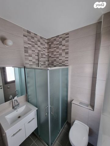 דירה, דוכיפת 53, הציפורים, מודיעין מכבים רעות