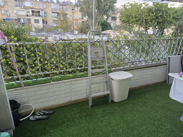 דירה, יוטבתה 11, ג'סי כהן, חולון