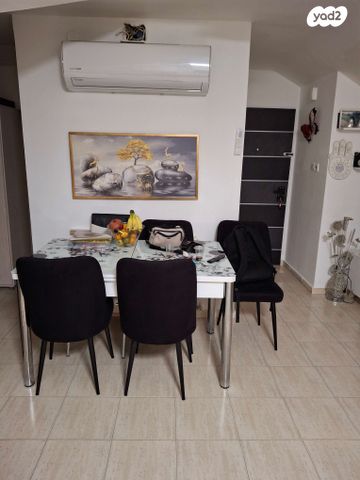 שלמה דוגה 28