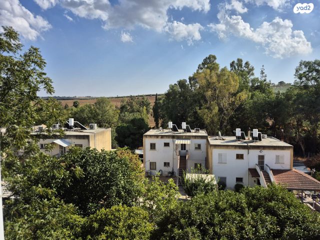 דירה, איילת השחר, איילת השחר, איילת השחר