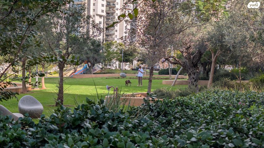 דירה, אלמוג 14, רמת חביב / רמת הנשיא, חיפה