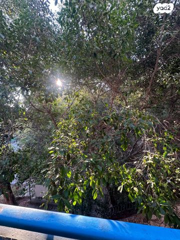 דירה, מדרגות שפינוזה 4, הדר עליון, חיפה