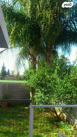 יחידת דיור, האפיק 337, בארותיים, בארותיים