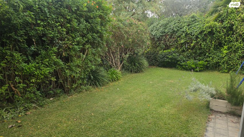 גבעת הלבונה 