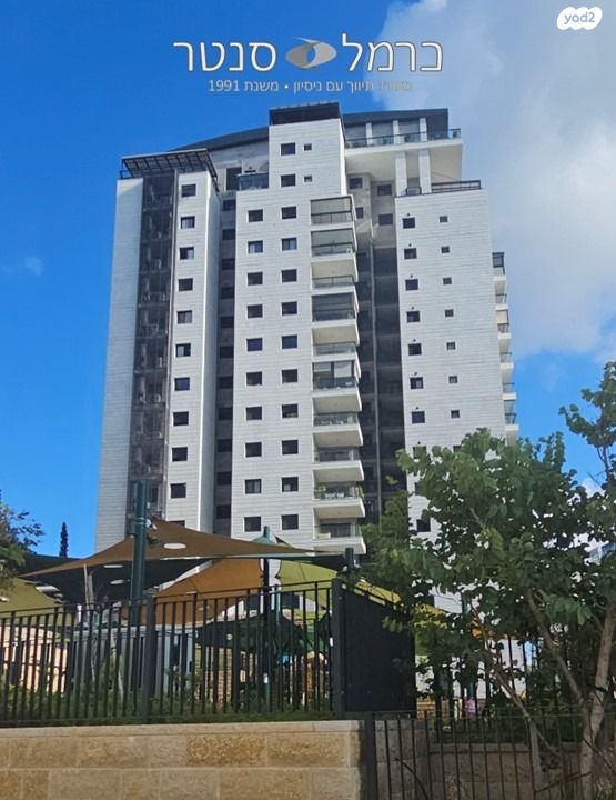 דירה, זיו, חיפה