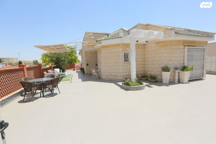 פרופסור אברהם אמיר 